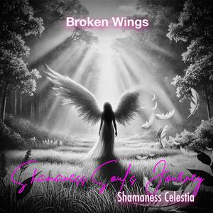 Broken Wings