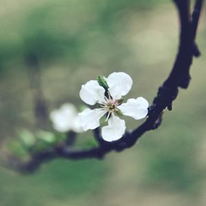 To my confidant （PROD BY GOAT CREW）