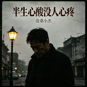 半生心酸没人心疼
