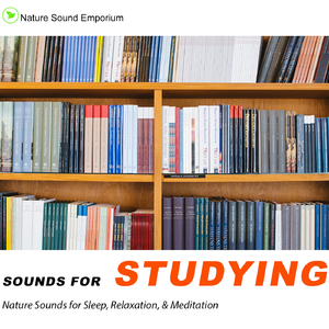 Sounds For Studying - Nature Sounds for Relaxation, Meditation, Studying & Deep Sleep- Part 2