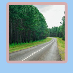 햇살과 해바라기의 우정 (기쁨의 휴식)