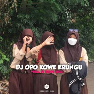 INSTRUMENT - DJ JAWA