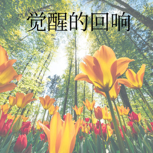 觉醒的回声