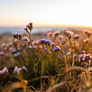学习必备学习提神的自然白噪音舒缓钢琴曲
