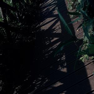 MateuszMeo Ostatni raz