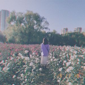 莫斯科没有眼泪（cover Twins)