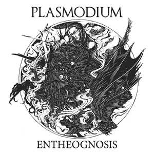 Hermaphrodisiac