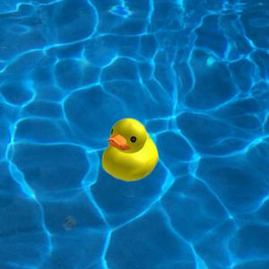YELLOW DUCK