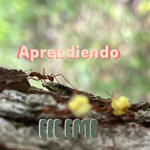 APRENDIENDO