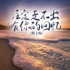 注定走不出有你的回忆（DJ版）