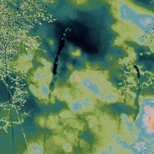 谷雨谷雨——记《刺客列传》仲堃仪ⅹ孟章