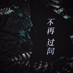不再过问 (DJ版)