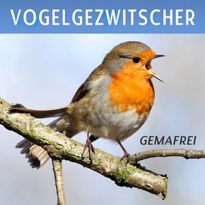Vogelgezwitscher (Vogelstimmen zur Entspannung und für Meditation)