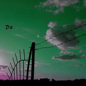 D3