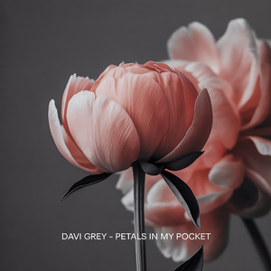Petals in My Pocket