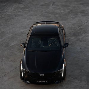 爱情永远不会懂