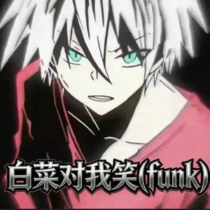 白菜对我笑(FUNK版)
