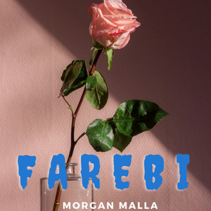 Farebi