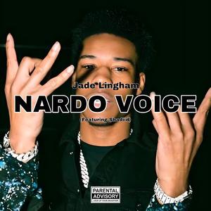 Nardo Voice (feat. Shadiid)