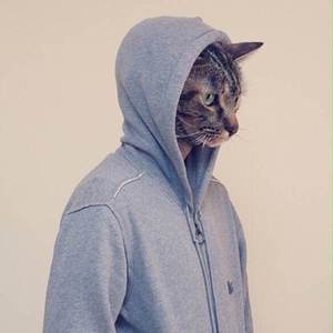 (Free beat) 威士忌