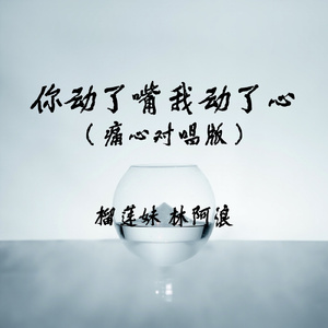 你动了嘴我动了心(痛心对唱版)