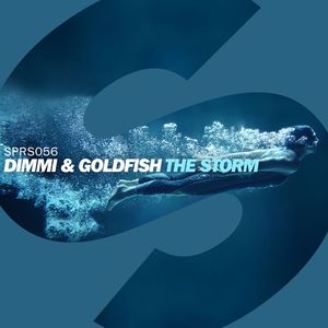 The Storm (Radio Edit)