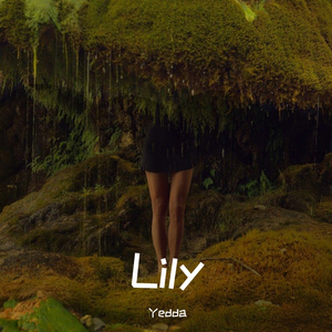 Lily（翻自 Alan Walker）