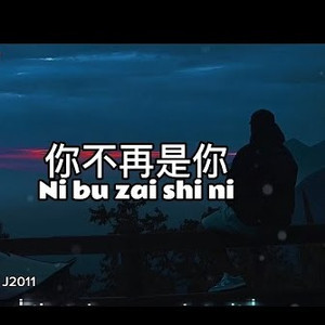 你不再是你