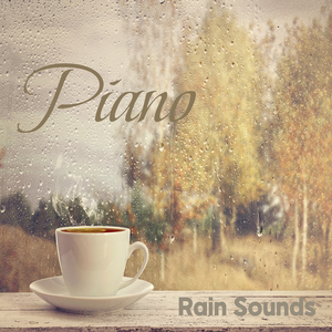 사티 : 당신을 원해요 (빗소리)