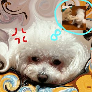 25%（prod.byMorrow x IOF）