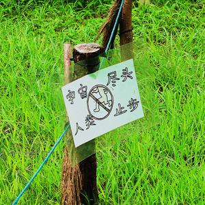 风犬少年的天空（翻自 旅行团）