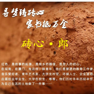 砖心（乐器合奏版）