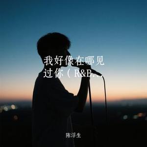 我好像在哪见过你 (R&B) (Cover 薛之谦)