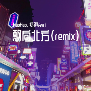飘向北方 （remix）（feat.紫微Arvil）（翻自 张祁）