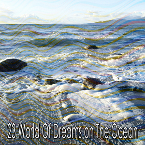 A Welcome Break From Reality