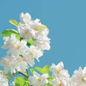 童叟无欺的秤杆
