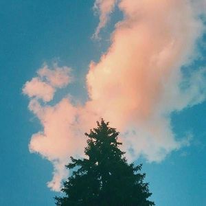 你的抱歉比你说爱我更熟练