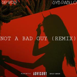 Not A Bad Guy (feat. SIP Wolf) (Remix)