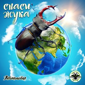 Спаси жука
