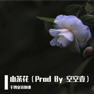 山茶花
