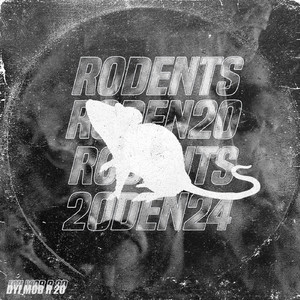 R 20-1 (Original Mix)