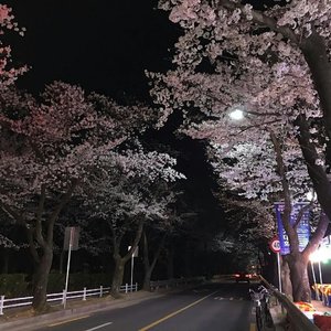 Aaron Smith - Dancin