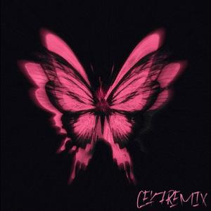 LN MY DREAM （在我的梦里）