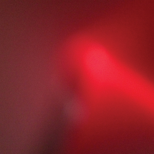 Leopard Print Jet Ski