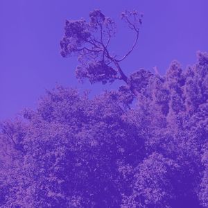 安静的安静的星期日声音