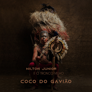 Coco do Gavião