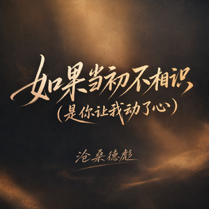 如果当初不相识(是你让我动了心)