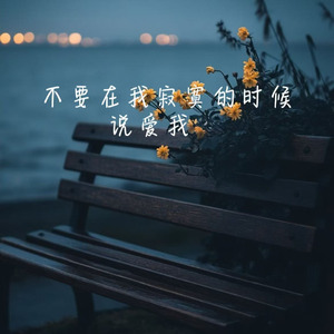 不要在我寂寞的时候说爱我(后悔)