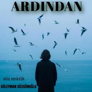 ARDINDAN