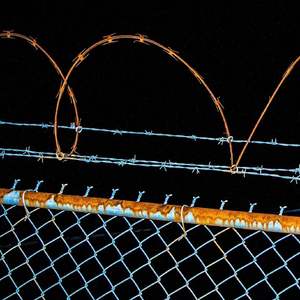 阿拉斯加海湾（cover 菲道尔）